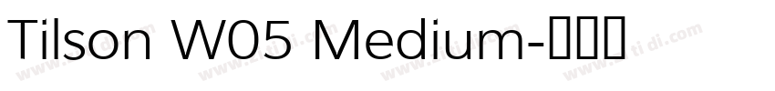Tilson W05 Medium字体转换 Tilson W05 Medium字体转换